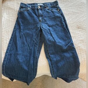 Loft Wide Leg Cropped Blue Jeans